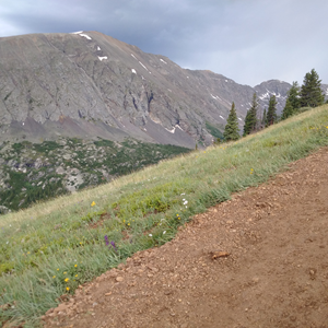 Quandary Peak (11).jpg